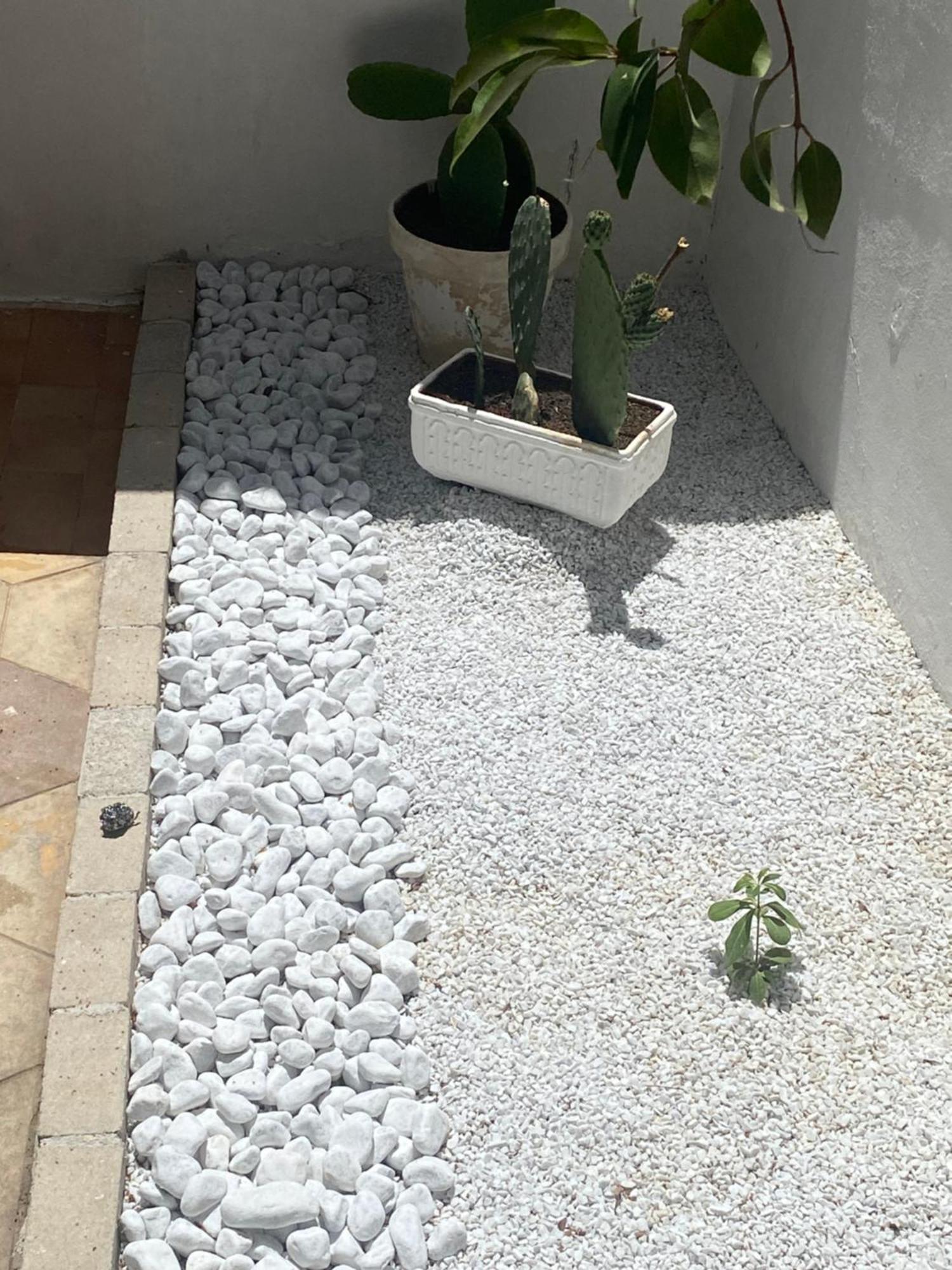 Przystan Adriatyk Swietna Lokalizacja Torre dell'Orso Εξωτερικό φωτογραφία